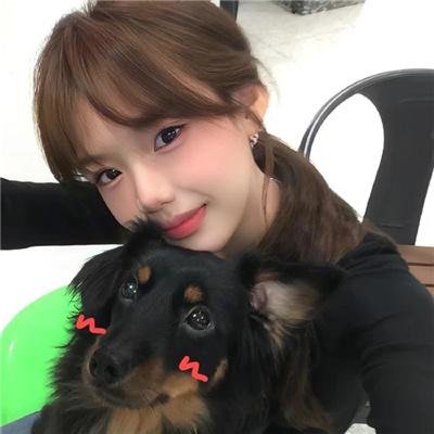 梦墙